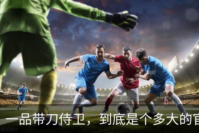 一品带刀侍卫，到底是个多大的官？