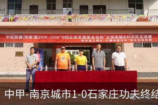 中甲-南京城市1-0石家庄功夫终结13轮不胜 泽·维托尔制胜