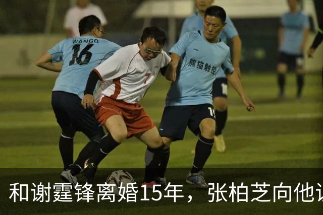 和谢霆锋离婚15年，张柏芝向他证明，王菲再好，儿子们才是他的骄傲