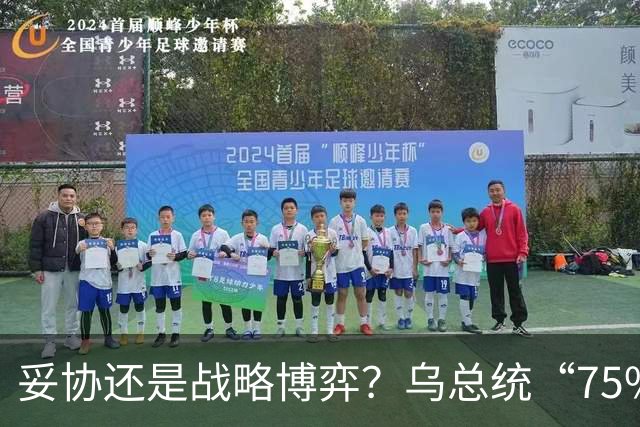 妥协还是战略博弈？乌总统“75%国土冻结战线”的表态