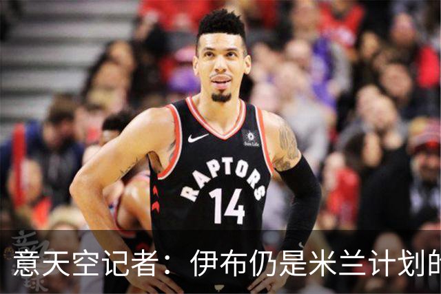 意天空记者：伊布仍是米兰计划的一部分