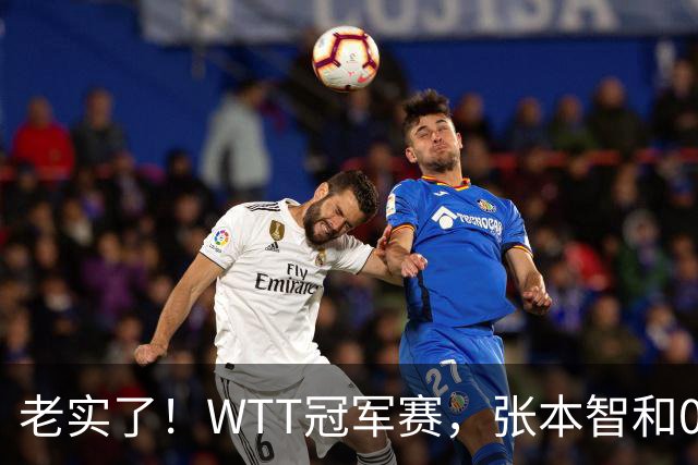 老实了！WTT冠军赛，张本智和0-3一轮游，被剃光头早早回家