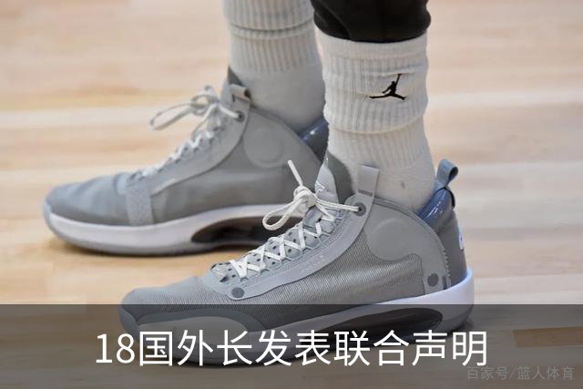 18国外长发表联合声明